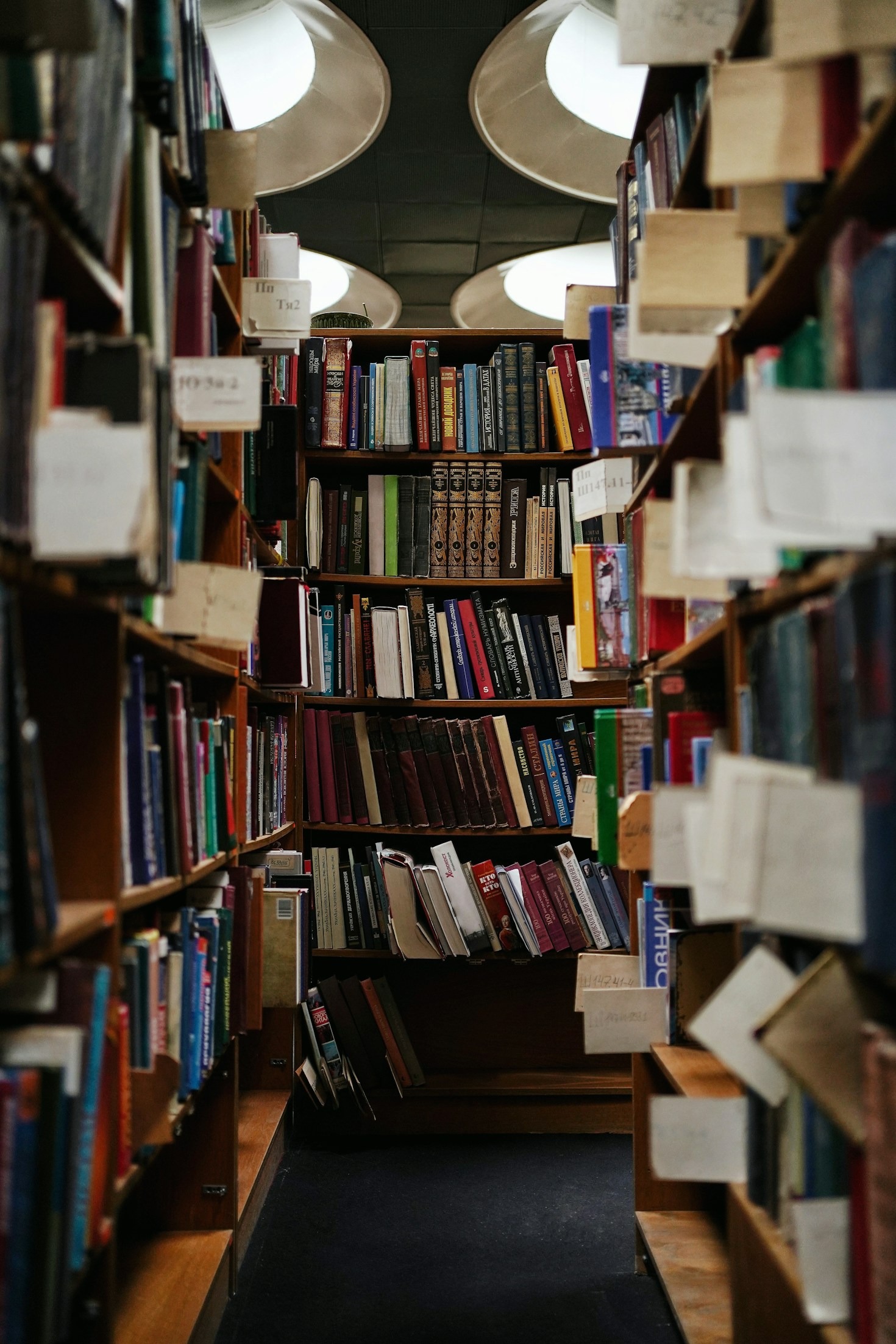 Top Picks: Exploring Rocky Mountain Literature
